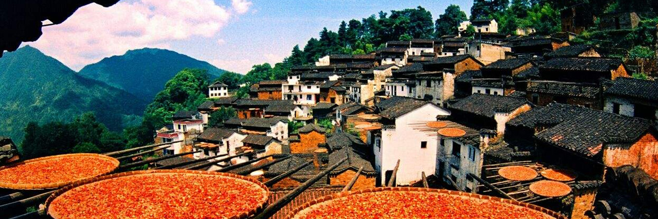 图5：篁岭晒秋图